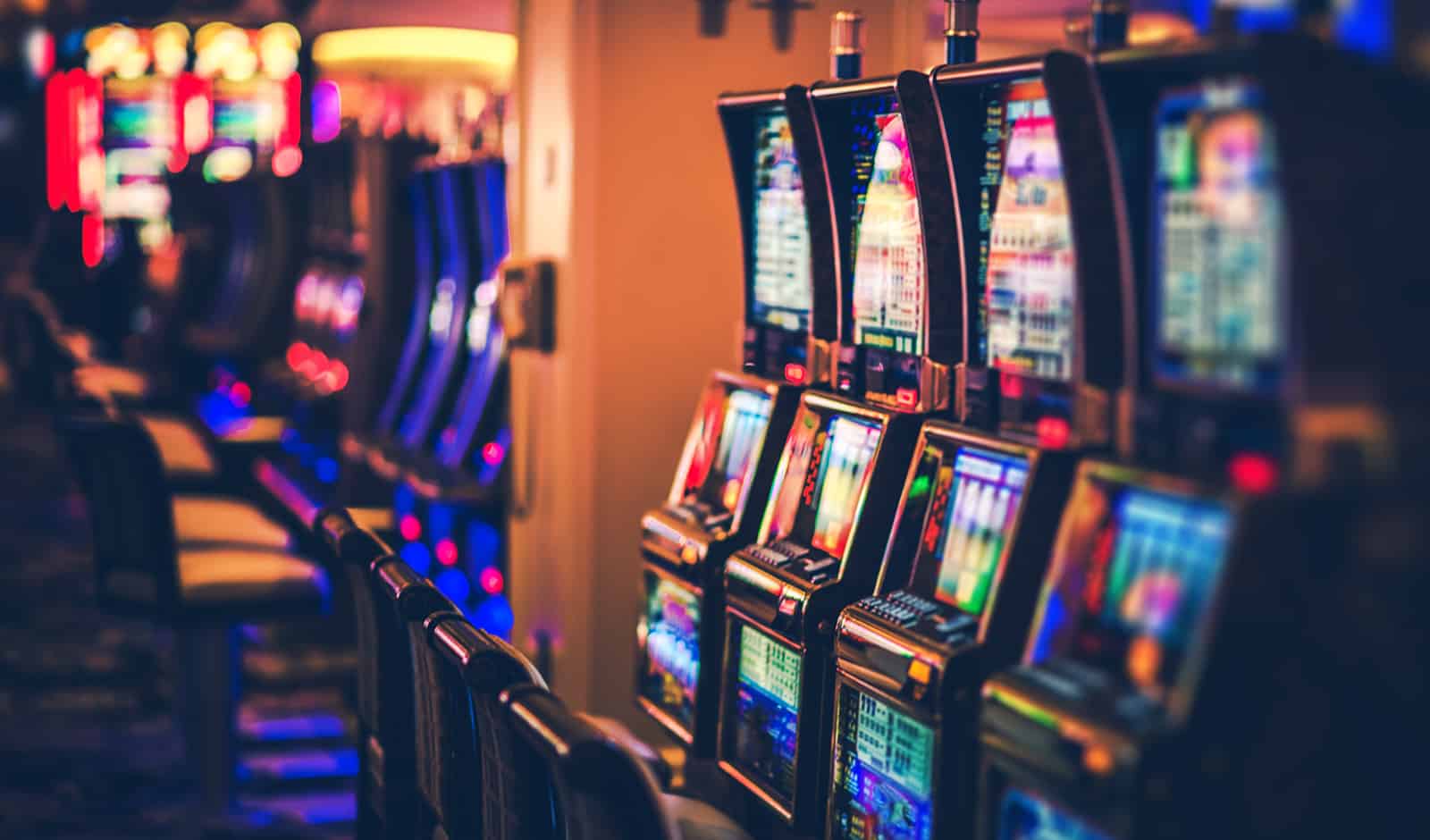 Rahasia Gambling Live Dingdong Fair untuk Pendatang Baru